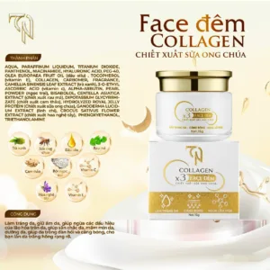 bo-kem-ngay-dem-facce-collagen-x3