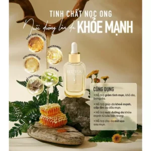 tinh-chat-noc-ong-beetox-ho-tro-cap-am-duong-da