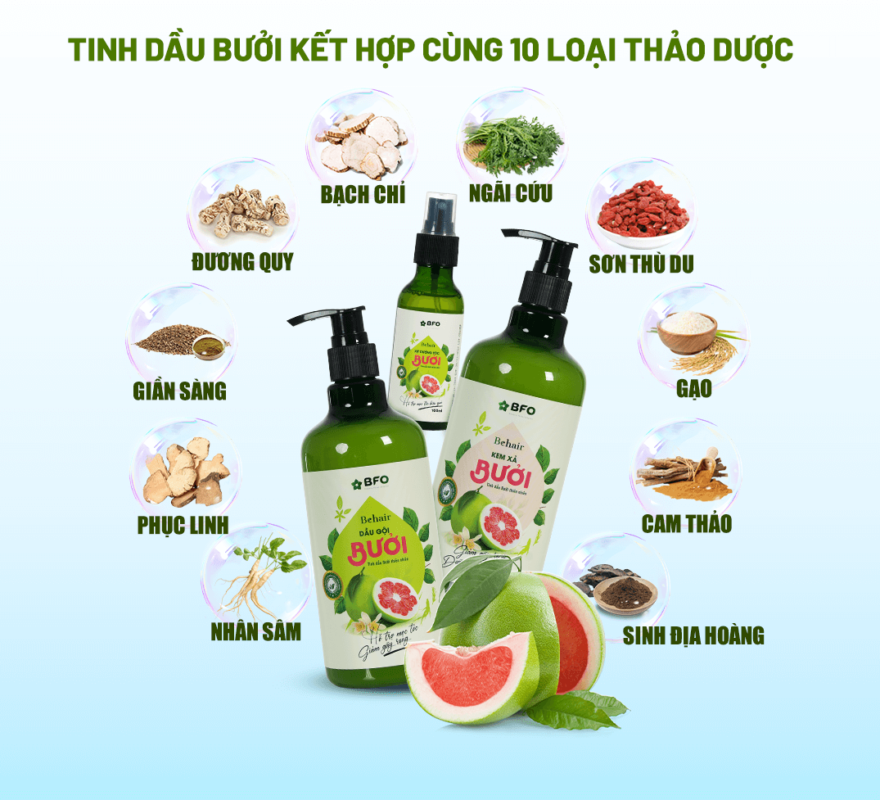 Dầu Gội Bưởi Dưỡng Tóc, Mọc Tóc, Phục Hồi Tóc BFO Behair 8 dau-goi-buoi-duong-toc-moc-toc-phuc-hoi-toc-bfo-behair