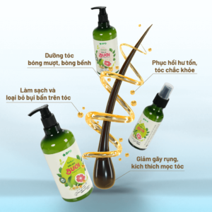 Dầu Gội Bưởi Dưỡng Tóc, Mọc Tóc, Phục Hồi Tóc BFO Behair 6 dau-goi-buoi-duong-toc-moc-toc-phuc-hoi-toc-bfo-behair