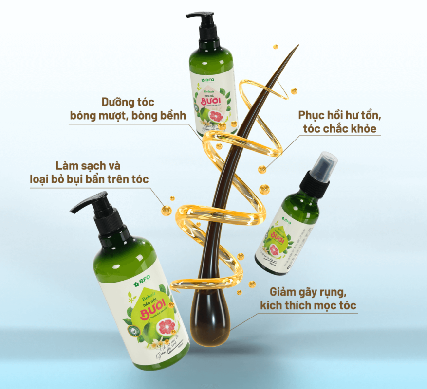 Dầu Gội Bưởi Dưỡng Tóc, Mọc Tóc, Phục Hồi Tóc BFO Behair 9 dau-goi-buoi-duong-toc-moc-toc-phuc-hoi-toc-bfo-behair