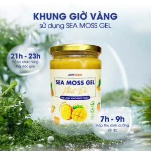 sea-mos-gel-nuoc-rong-bien-len-men
