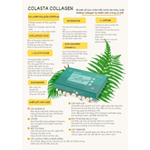 com-colasta-collagen-lurcinn-lam-dep-tu-ben-trong