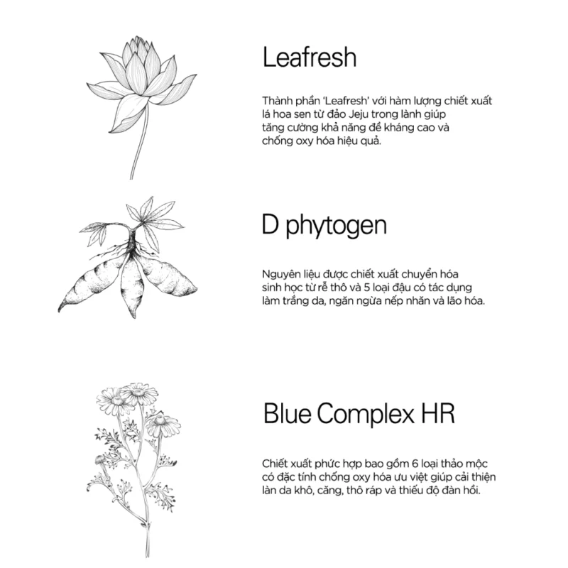 kem-duong-sang-vitamin-b3-niacinamide-div