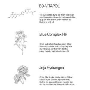 Toner Phức Hợp Multivitamin Hỗ Trợ Dưỡng Ẩm Mềm Mịn Da DIV 7 toner-phuc-hop-multivitamin-duong-am-mem-min-da-div