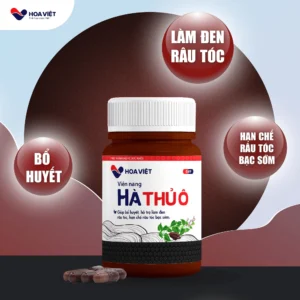 vien-uong-ha-thu-o-do-hoa-viet