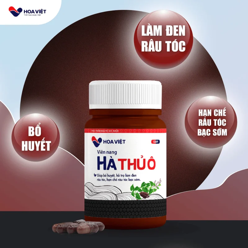 vien-uong-ha-thu-o-do-hoa-viet