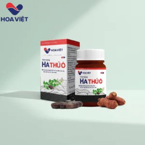vien-uong-ha-thu-o-do-hoa-viet