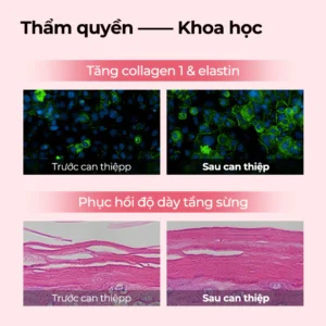 nuoc-uong-collagen-astaxanthin-oxyenergy