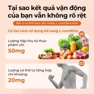 nuoc-uong-l-carnitine-1000mg-oxyenergy